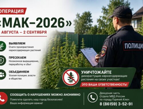 Мак – 2026